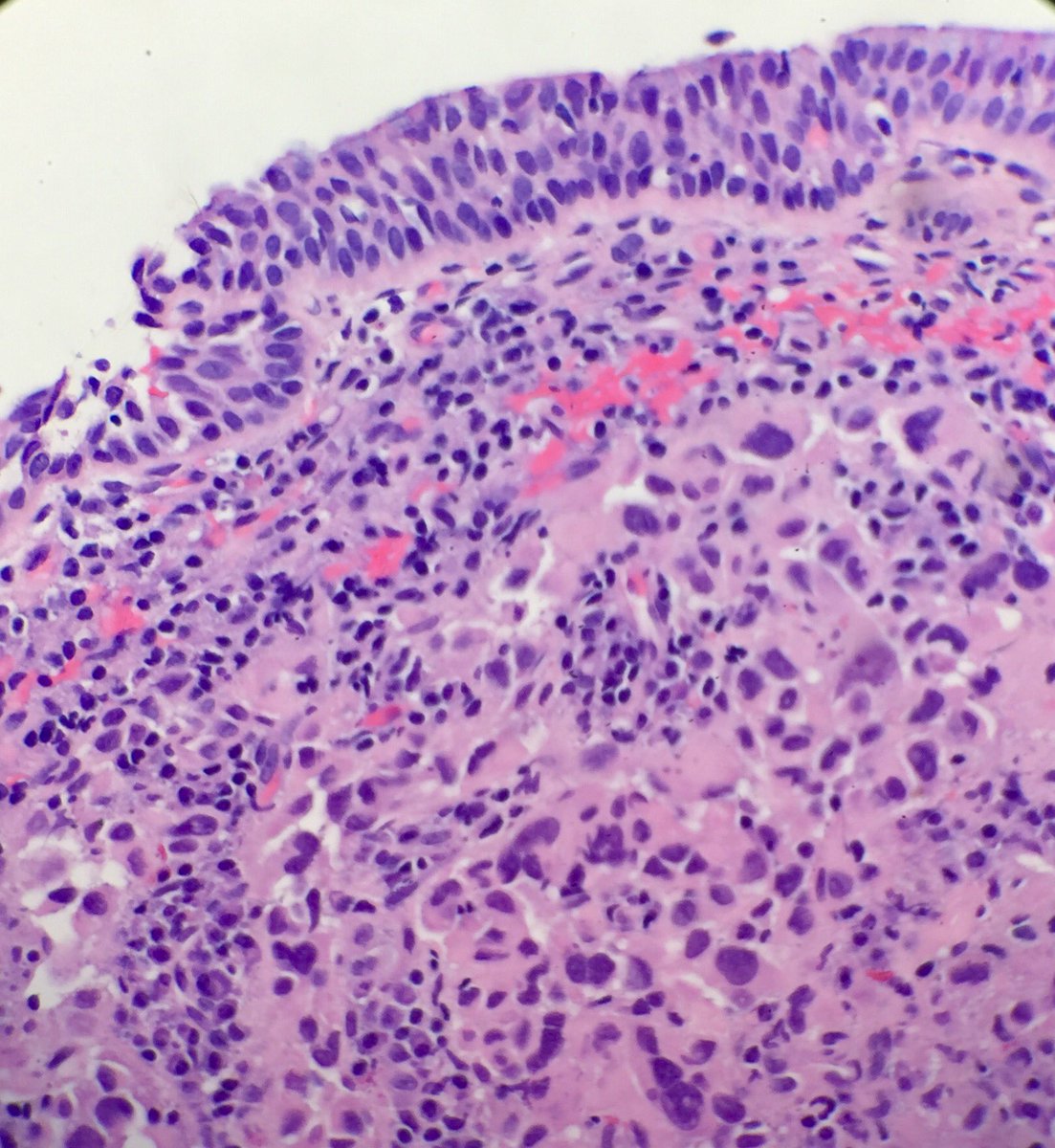 davidacohenmd tweet picture