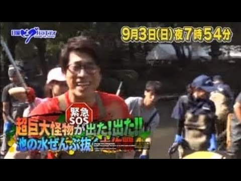 池の水ぜんぶ抜く大作戦4 池の水ぜんぶ抜く大作戦4