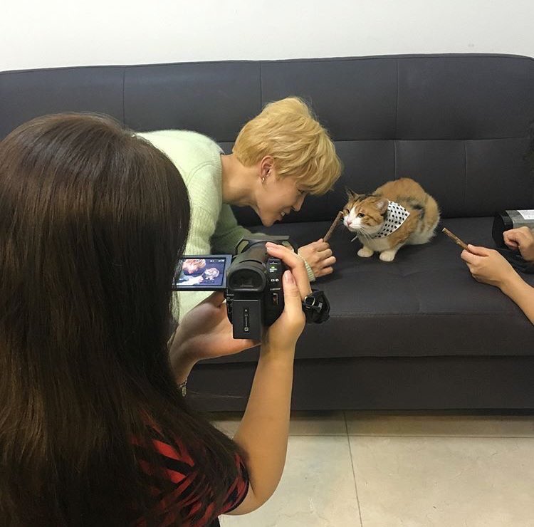 low quality jimin 💐 (@lowqualityjimin) on Twitter photo 