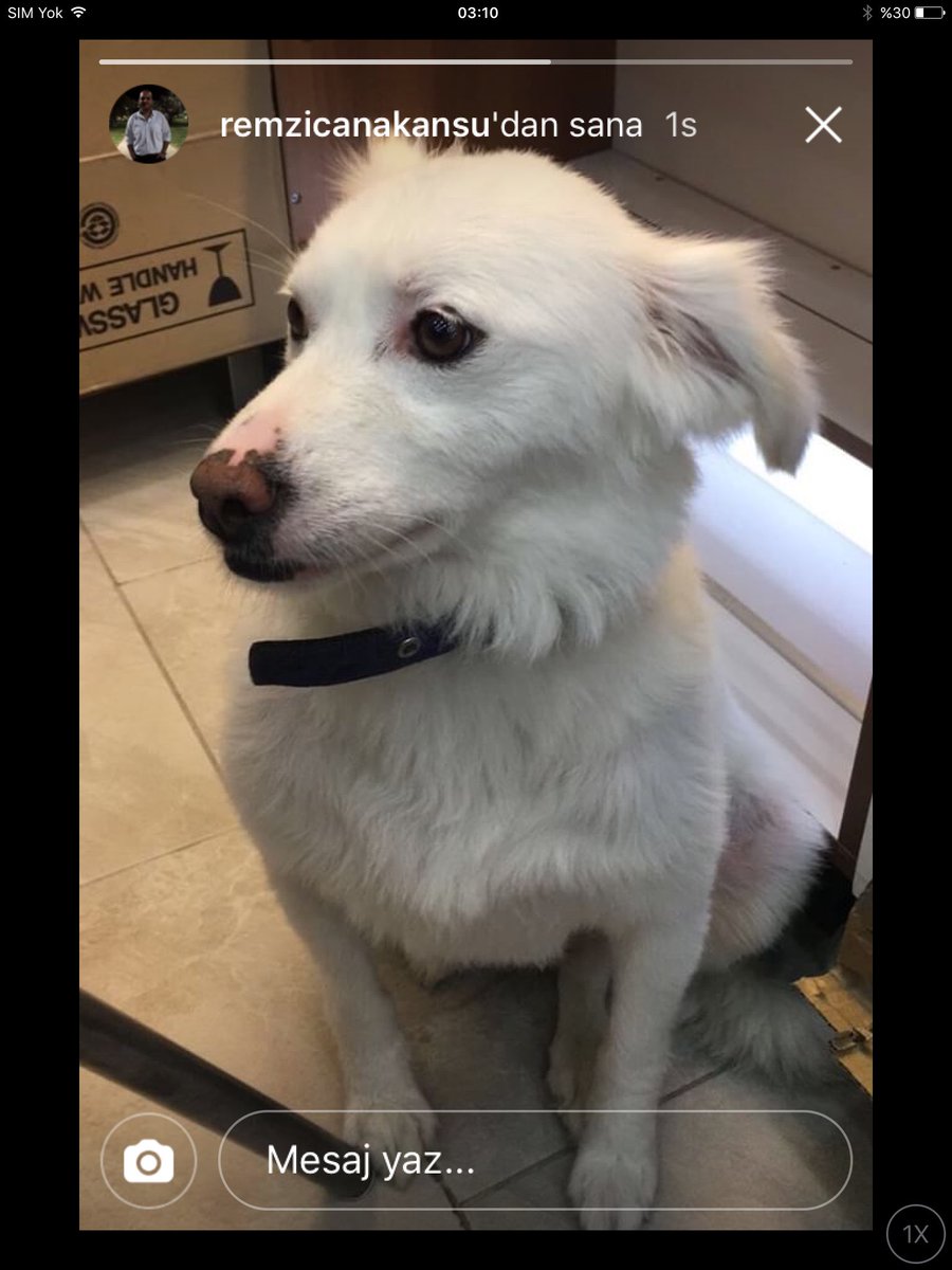 Картинки по запросу Mia izmir