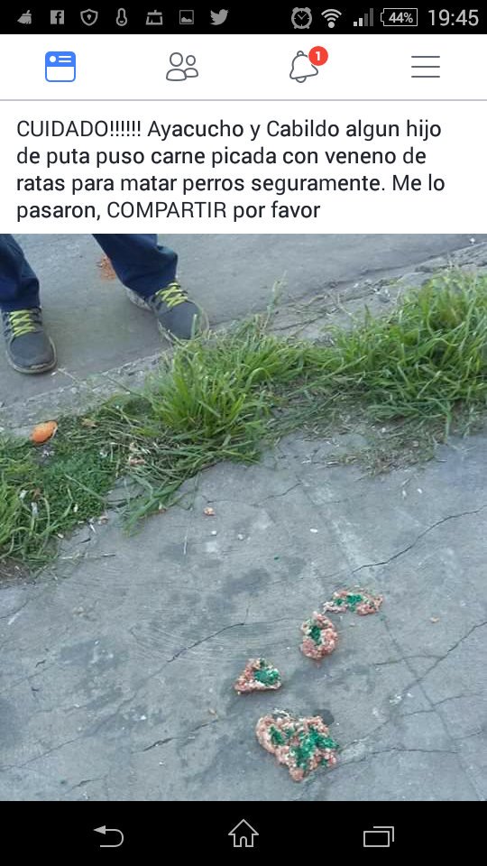 Robri1191's tweet photo. Compartan gente los animalitos son inocentes!!!! 😔😢 https://t.co/EqQZjpNf7K
