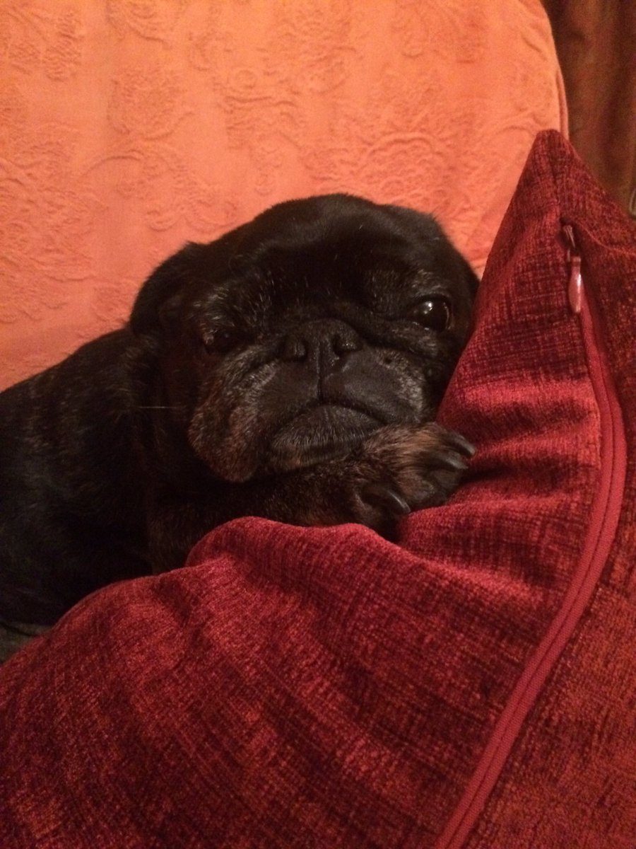 PatsyTourle tweet picture