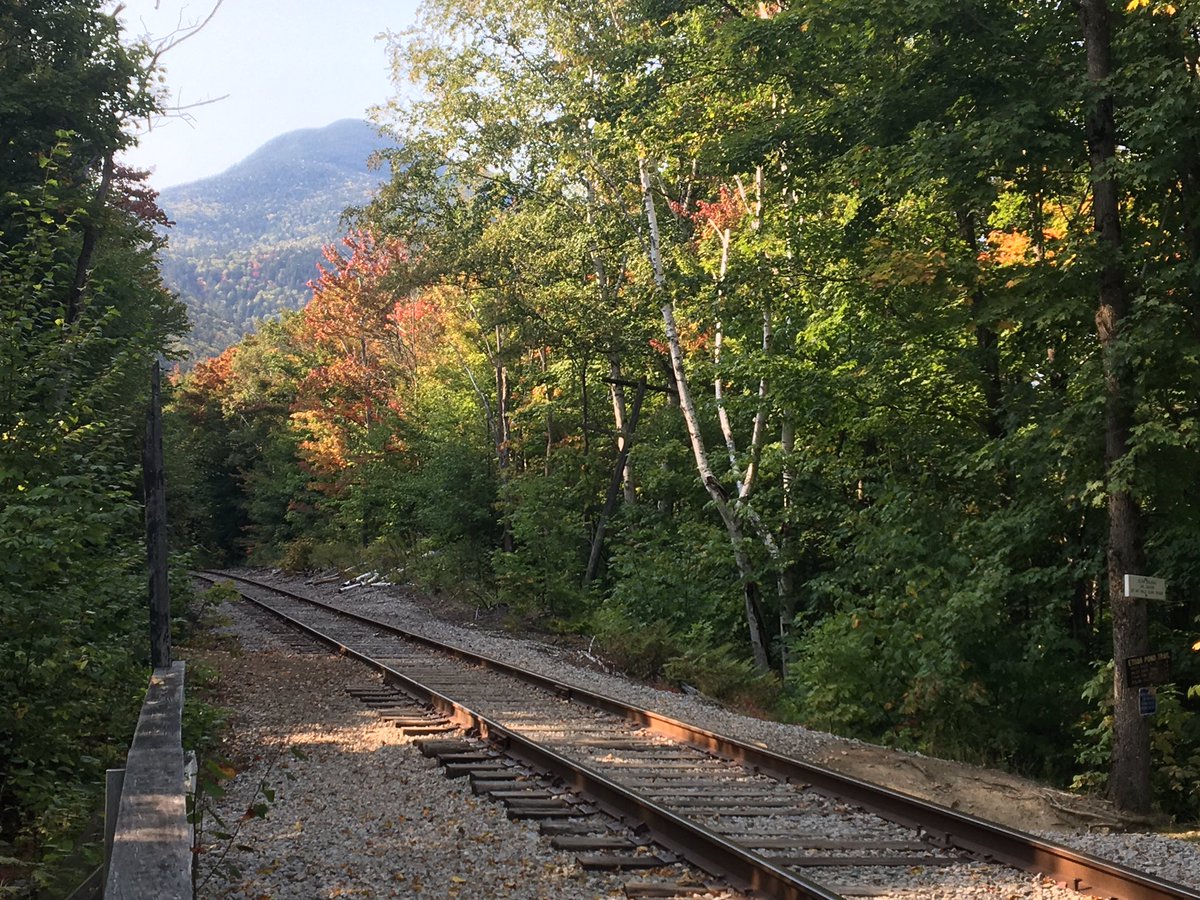 OTemily3's tweet photo. #4000footer Mt. Willey #NH #favoriteoccupation #nature #steep @ExploreNH #earlyleafpeeping @NHStateParks #CrawfordNotch https://t.co/e0Ttx1O6K6