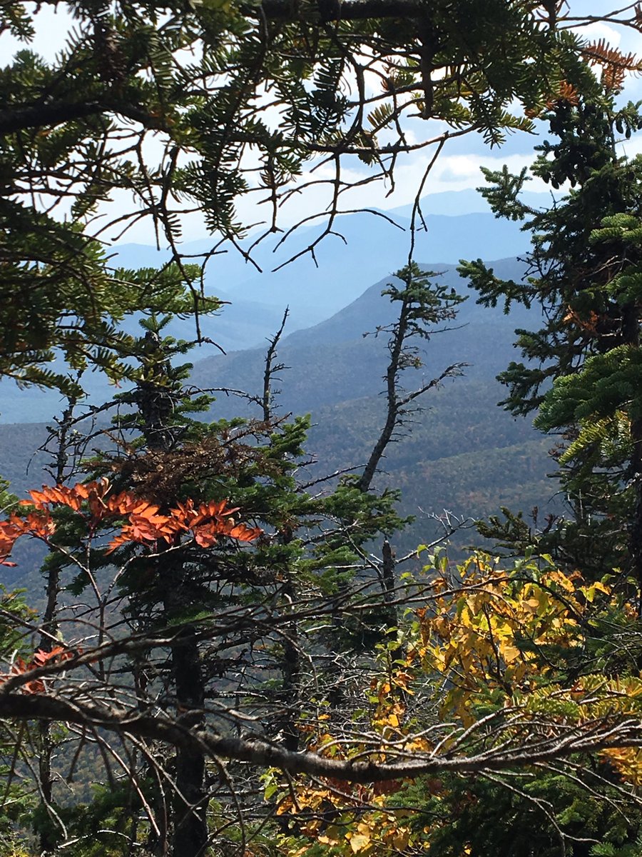OTemily3's tweet photo. #4000footer Mt. Willey #NH #favoriteoccupation #nature #steep @ExploreNH #earlyleafpeeping @NHStateParks #CrawfordNotch https://t.co/e0Ttx1O6K6