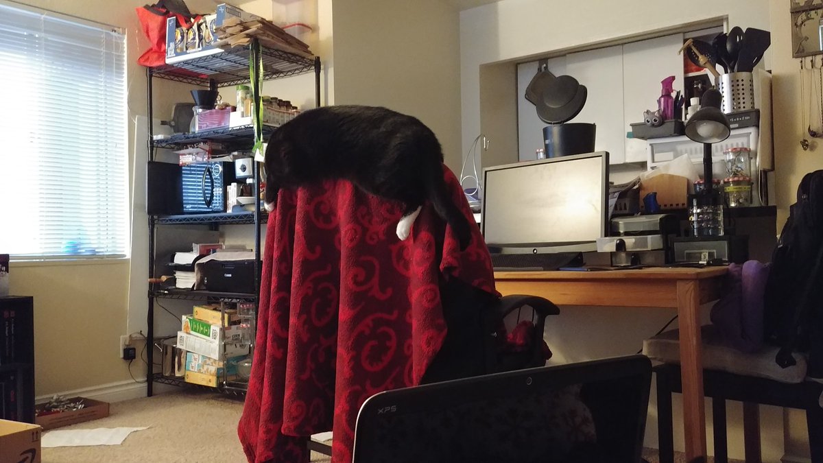 SiriCerasi's tweet photo. I just can't #TuxieProblems #BrattyBeep #CatLadyProblems @Bibliogato https://t.co/jiJI4OfDv8