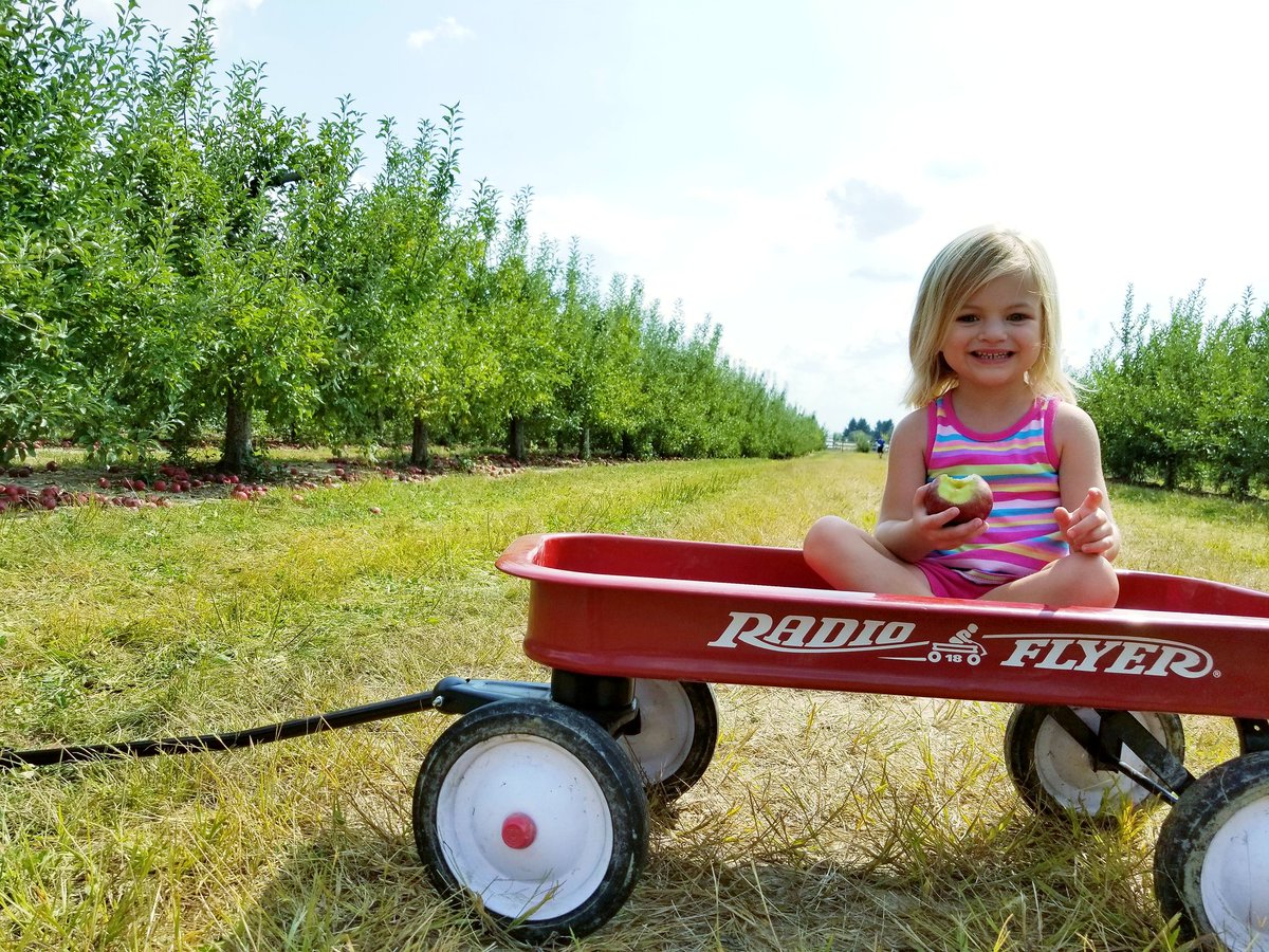 loudlearning's tweet photo. Teachers,
Never allow the people in your home to feel like the people in your class are loved more! Loved Apple picking w/ fam today in IN! https://t.co/4pBNqfSAye