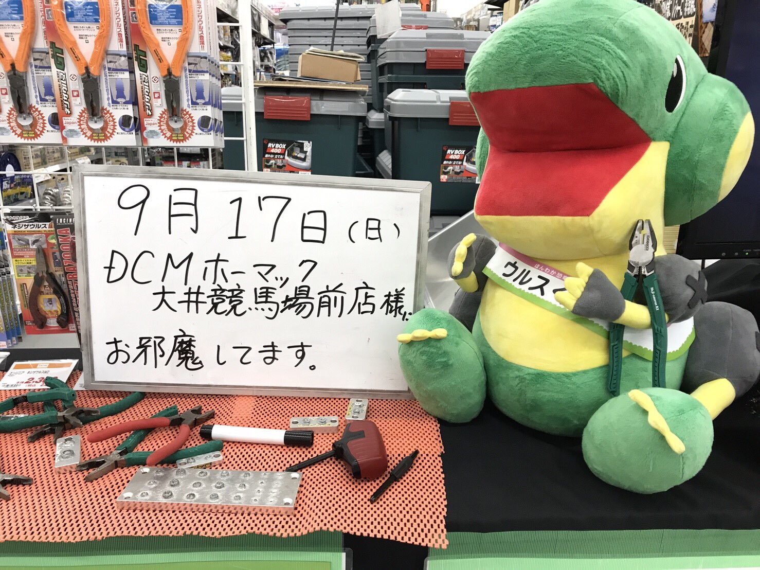 ネジザウルス 公式 こんにちがぉฅ D ฅ 今日はdcmホーマック大井競馬場前店さん 台風ですごいお天気やけど みんなのところは大丈夫なんかな ネジザウルス エンジニア ねじたる Dcmホーマック大井競馬場前店 T Co Yyzk7tkfqr Twitter