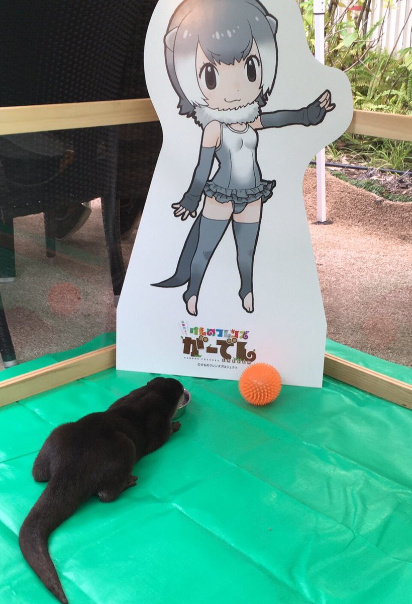 けものフレンズ コツメカワウソちゃんの近藤玲奈さん Music Station ウルトラfes 17 に どうぶつビスケッツ かばん Ppp マーゲイ コツメカワウソとして出演 ゲームよりどりサブカルみどりパーク けものフレンズ コツメカワウソちゃんの近藤玲奈さん Music Station ウルトラfes 17 に どうぶつビスケッツ かばん Ppp マーゲイ コツメカワウソとして出演 ゲームよりどりサブカルみどりパーク