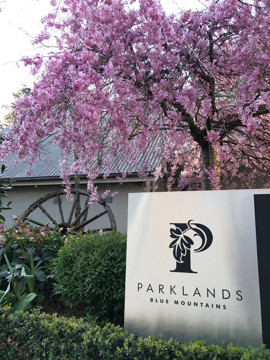 ParklandsLodges's tweet image. Blue Mountains BLOOMING ESCAPES.
#visitnsw #bluemountains #springescapes