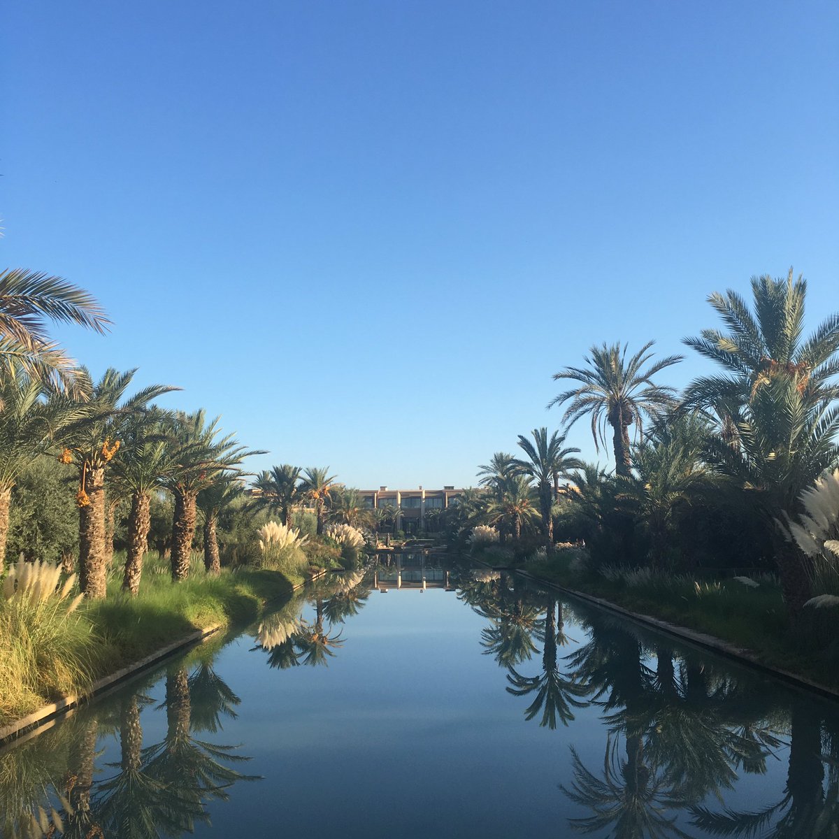 Oasis in #Marrakech. One of only two <a href="/MO_HOTELS/">Mandarin Oriental</a> resorts <a href="/MO_MARRAKECH/">Mandarin Oriental</a>. #LuxuryTravel