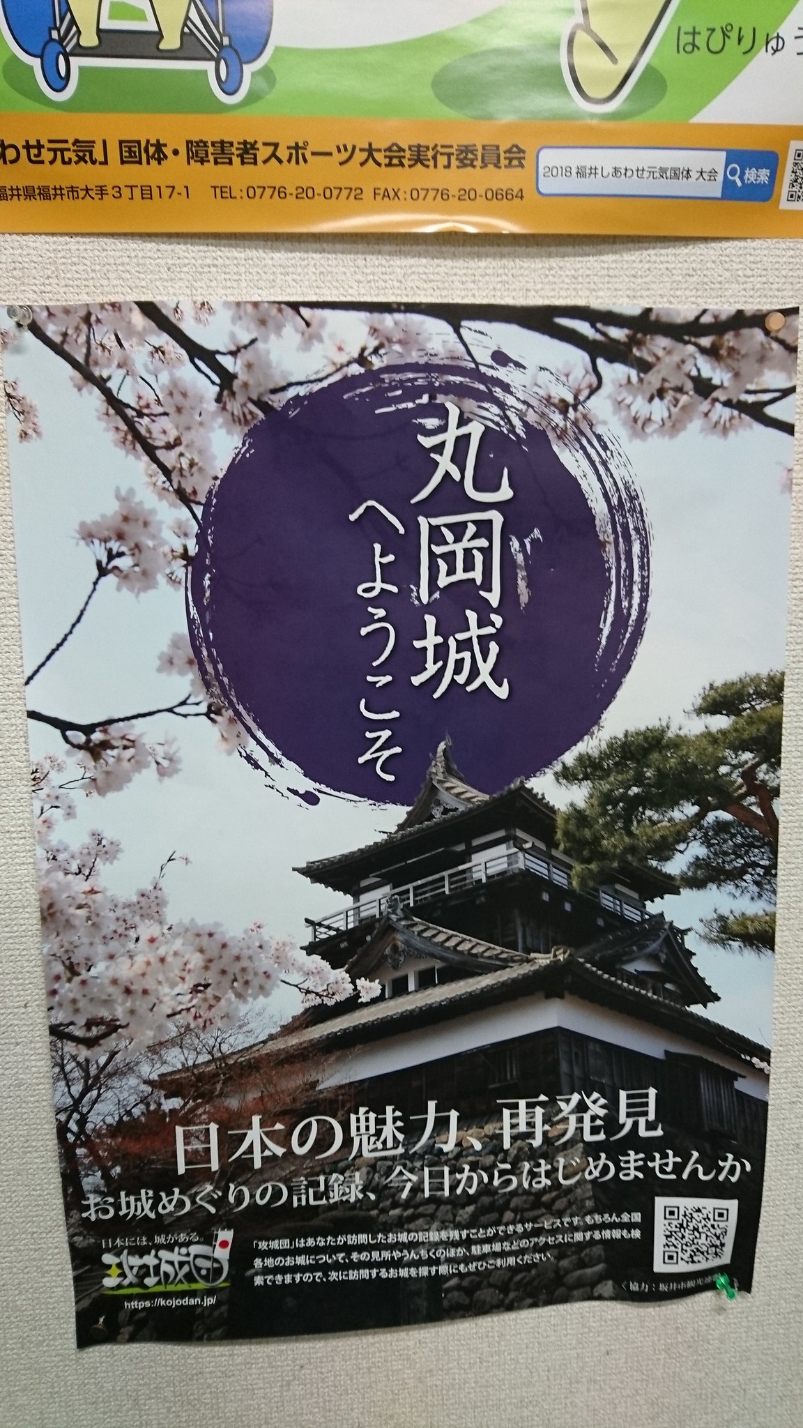 Katayoshi Katayoshi Twitter