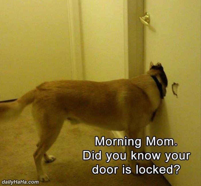 FunRumor's tweet image. Morning Mom #funny #lol #comedy #fun #humor #meme #RT #DailyHaha