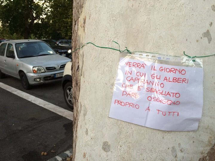 HouseHeBuilt's tweet photo. Alberi che parlano sul lungotevere a #Roma. https://t.co/NC2rC92vqV