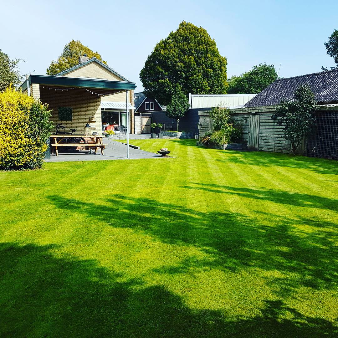 GrasShaker's tweet photo. After all the rain a dry and sunny sundaymoring #Lawnprep π₯β³β½βΌπ https://t.co/4BBOeTdLrS