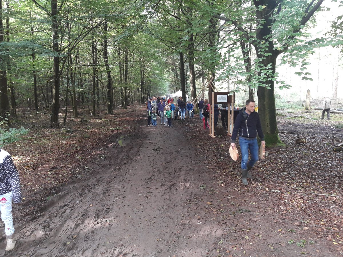 Gezellige drukte bij buitenfestival <a href="/Boomkroonpad/">Boomkroonpad</a> tot half vijf diverse activiteiten.