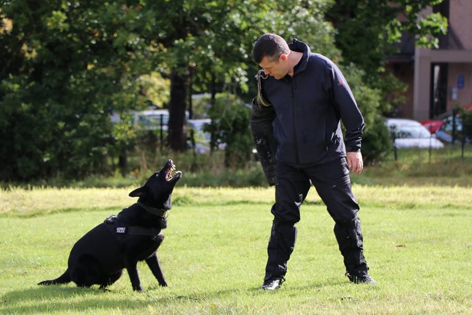 ChNWPoliceDogs's tweet photo. PDFiona performing the 'stand off' exercise #PDFiona https://t.co/0pK9LeHCHf