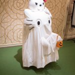 これは怖いｗハロウィン限定のキティちゃんの衣装がやばすぎる!