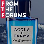From the Forums: Seafaring, Acqua di Parma, A Favorite Rose-Oud fragrantica.com/news/From-the-… #perfume #fragrance