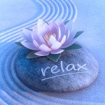 Best in Show: Scents for Relaxation, Meditation Sleep (2017) fragrantica.com/news/Best-in-S… #perfume #fragrance