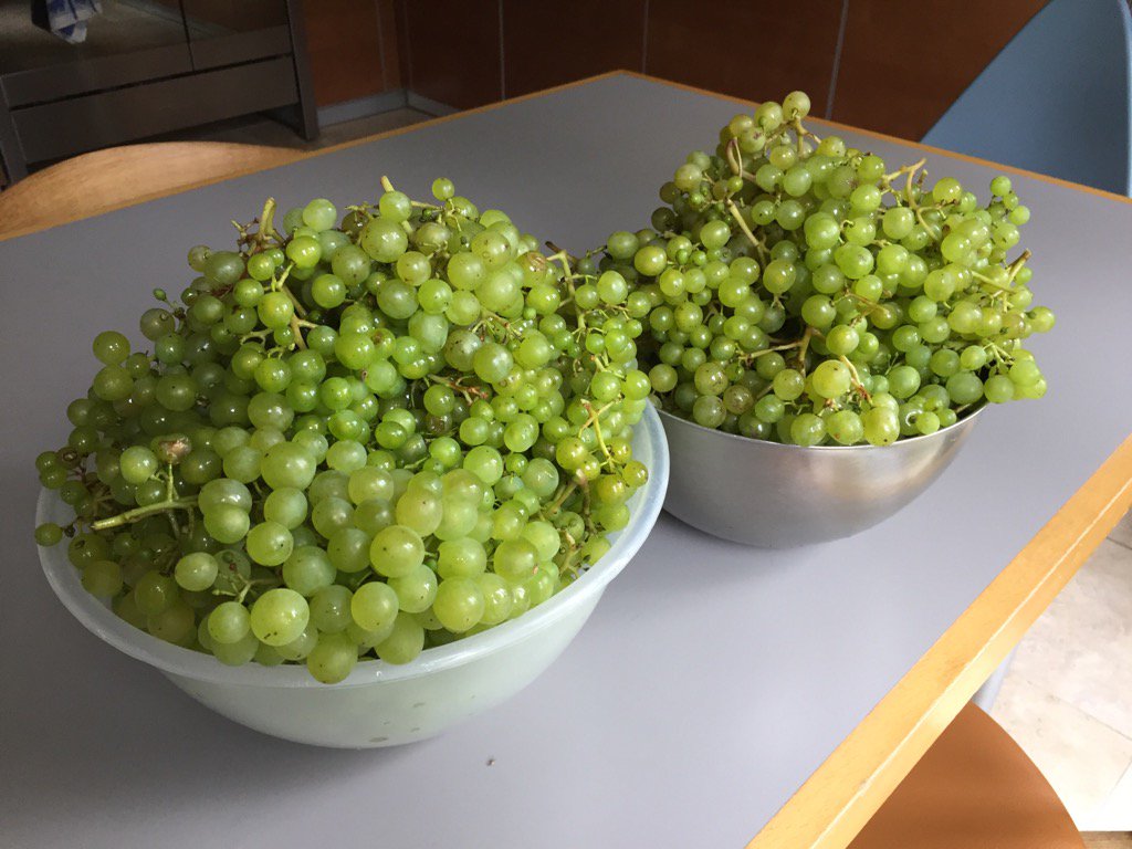 Asako Y Brown Scousako Twitter