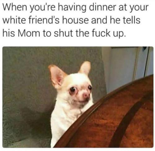 SundoCards's tweet image. Gamer #memes on ➡️ pangamers.com 😂 Then he’ll shoot up the school and blame Marylin (via... #meme #funny #esports