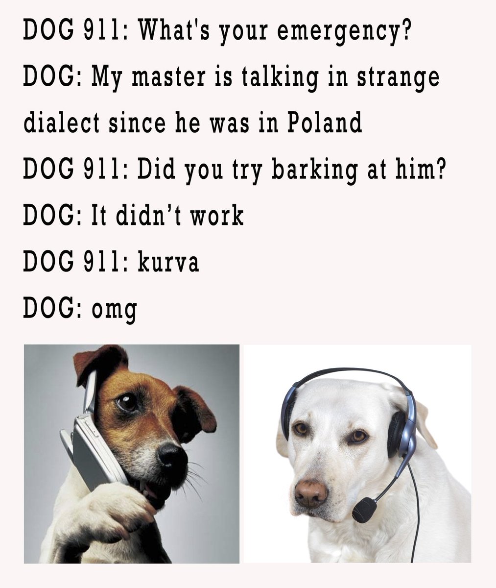 dog emergency call