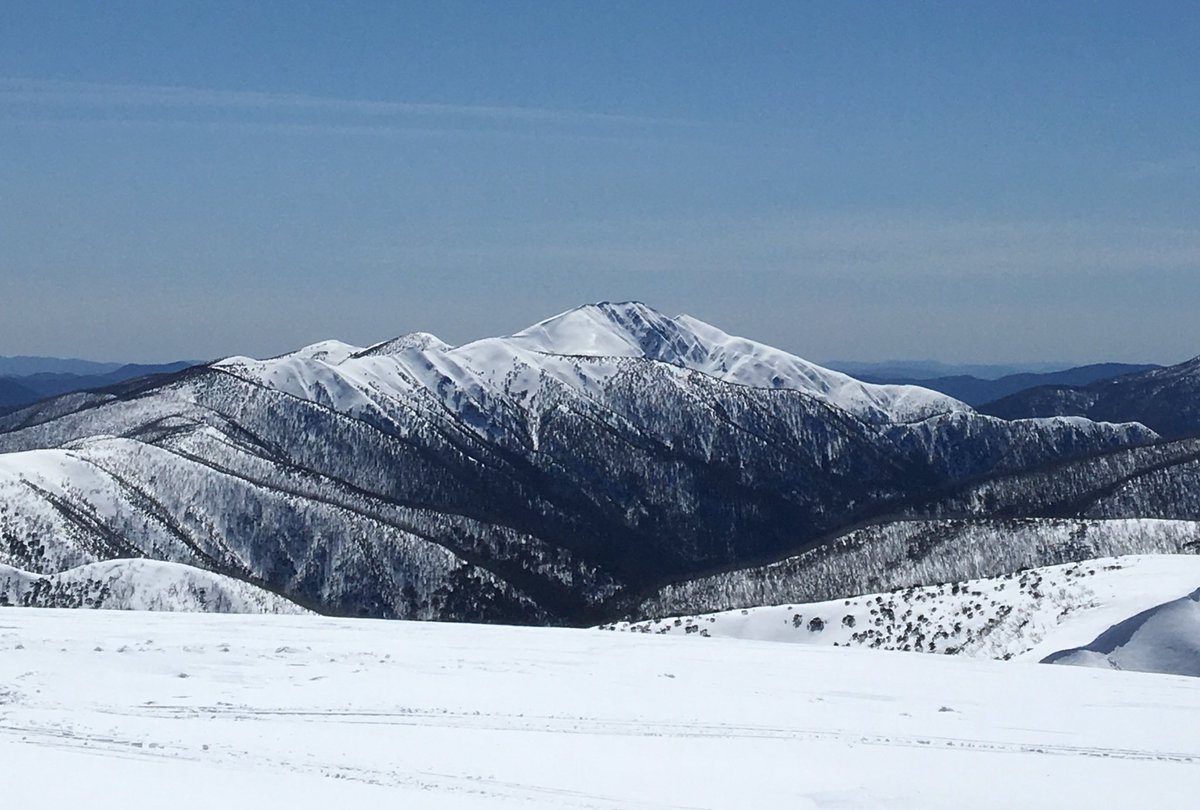 The mountains of Australia have their own mystique. #feathertop #australia #mountains #skiing #highcountry