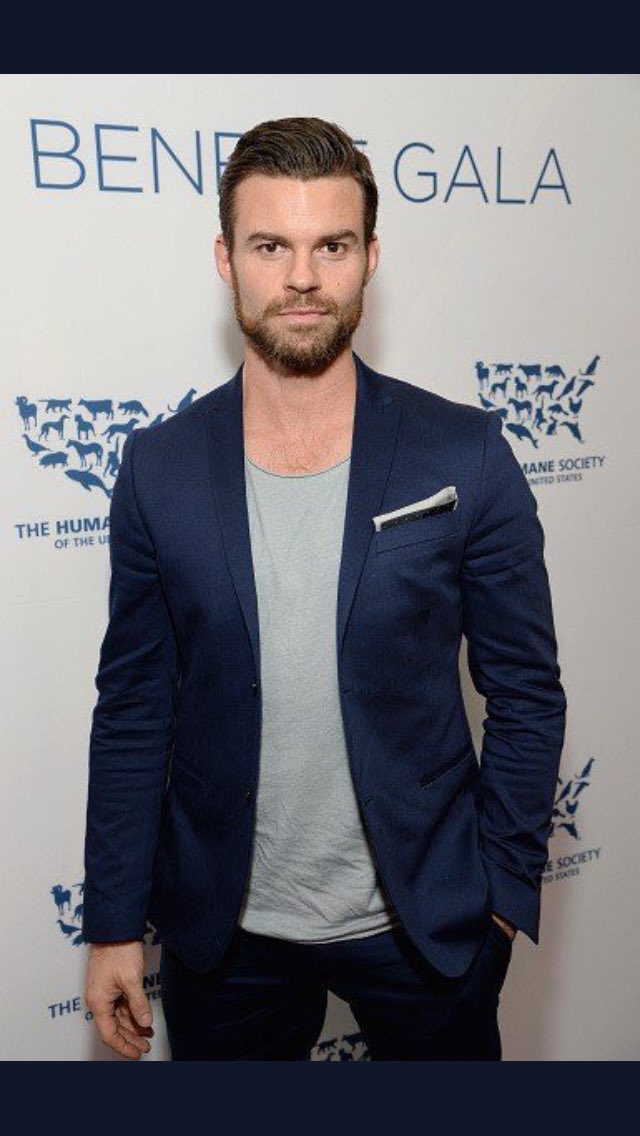 erol_mayagozel's tweet photo. my sweetheart 💙💙 @danieljgillies @danieljgillies @danieljgillies  @danieljgillies https://t.co/xqZWsvu4ad
