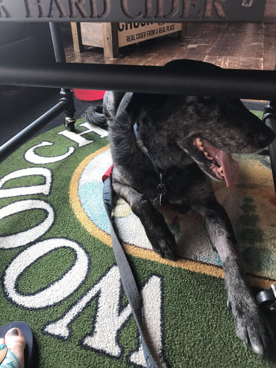 Loved our visits to <a href="/WoodchuckCider/">Woodchuck Cider</a>,  <a href="/Stonecutter_VT/">Stonecutter Spirits</a>, and <a href="/VTCookieLove/">VERMONT COOKIE LOVE</a> yesterday! #VT 👱🏻‍♀️👨🏻🐶☀️🍁🍎🍦