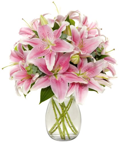 Flowers780's tweet photo. Today is Wife Appreciation Day, did you send flowers? https://t.co/Q2wI4JfL8n