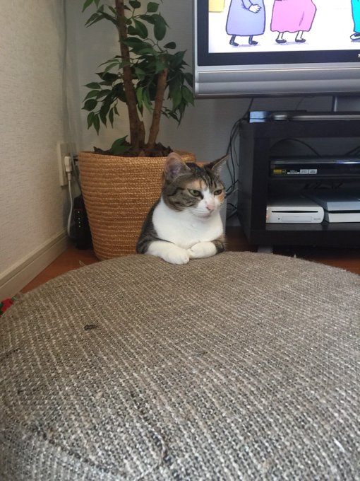 今日は更新お休み 