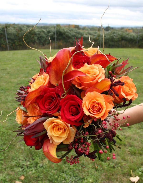 MirandaFelli's tweet photo. @fragolinarossa8 @Natalia54967926 @samanthag1506 @ragazzadiperla @CaterinaRomeo0 @LordByronRS @5b556f1e896a49a @Stefano32847521 @AnnaRDelorenzo @Vertigine76 Avanti, sempre #ARitmoDelCuore #ARitmo! https://t.co/fLVSONQ53z