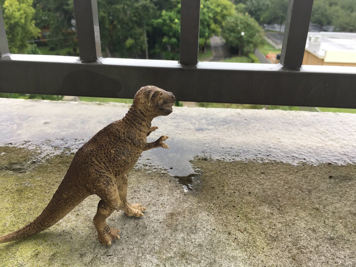 T.Rex made it through Hurricane Irma!