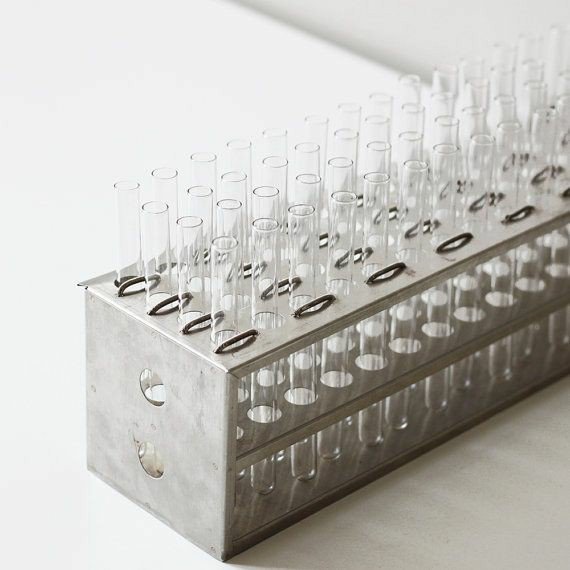 AlwaysHisPath's tweet image. "Forget #SeductiveSunday.

#ScienceSunday is where it's at."