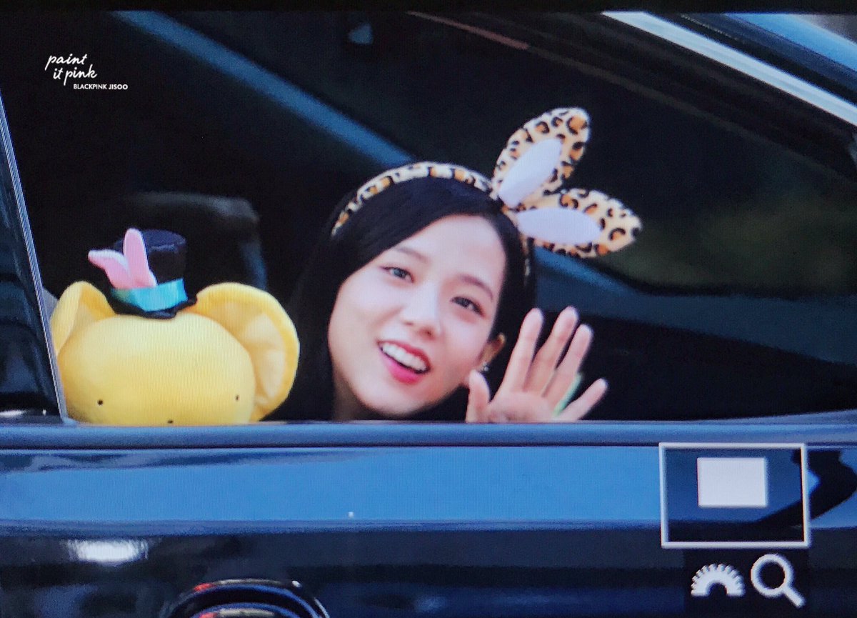 Paint it pink tweet media