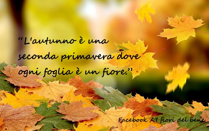 Ifioridelbene Com En Twitter L Autunno E Una Seconda Primavera Dove Ogni Foglia E Un Fiore Autunno Fiori Citazioni Foglie Cit Citazionedelgiorno Citazione Frasi T Co 6icoyjdpo2