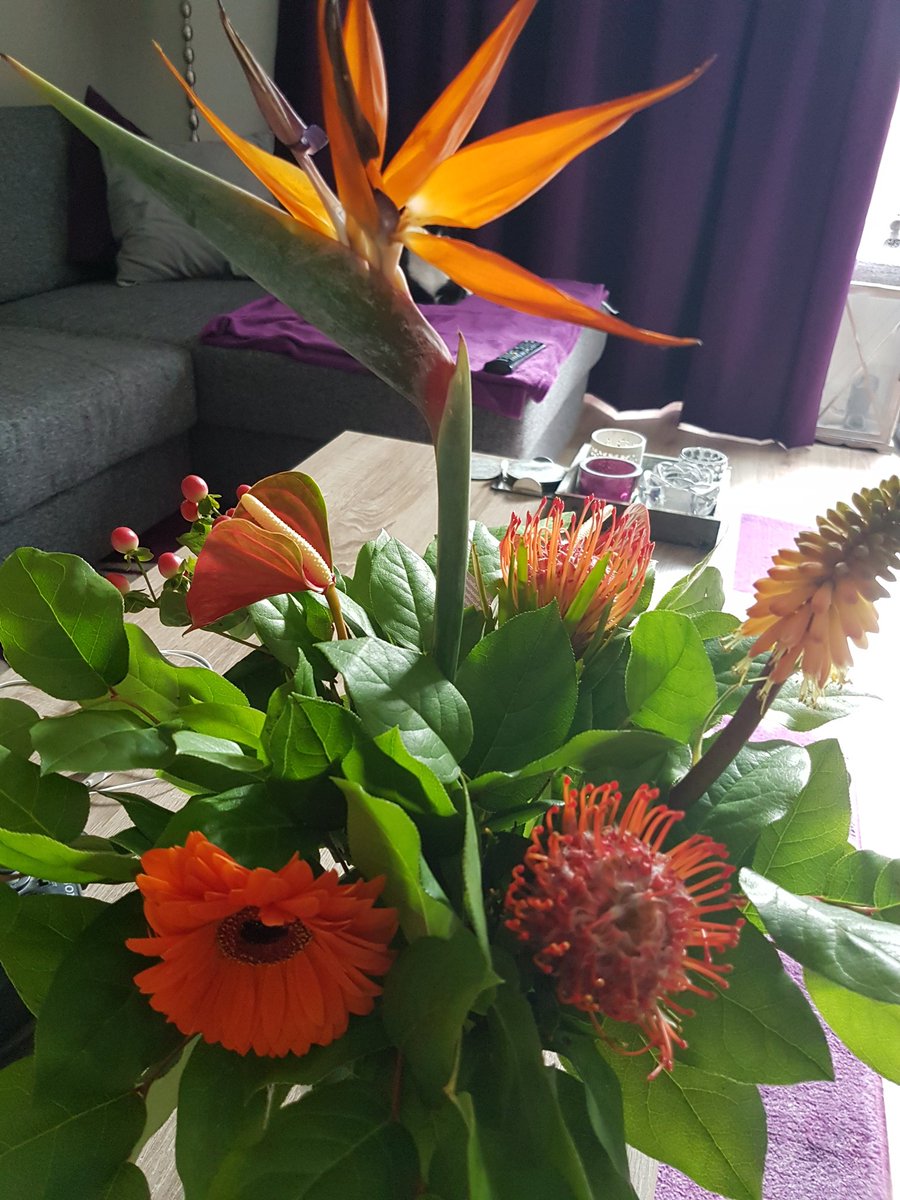 Shanna Rolvink tweet media