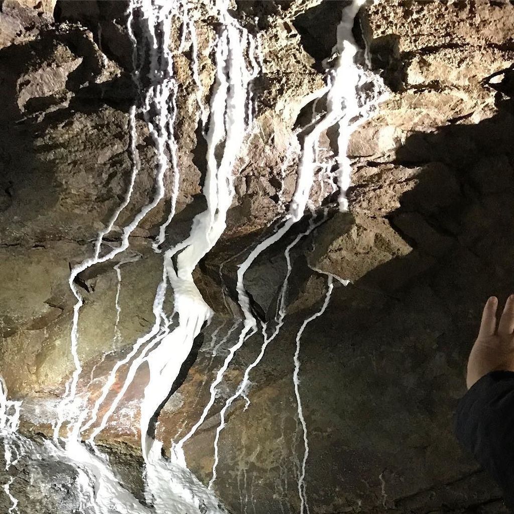 der_doerk's tweet image. Im inneren der Hardt #hardtkawerne #tagdesgeotops #wuppertal