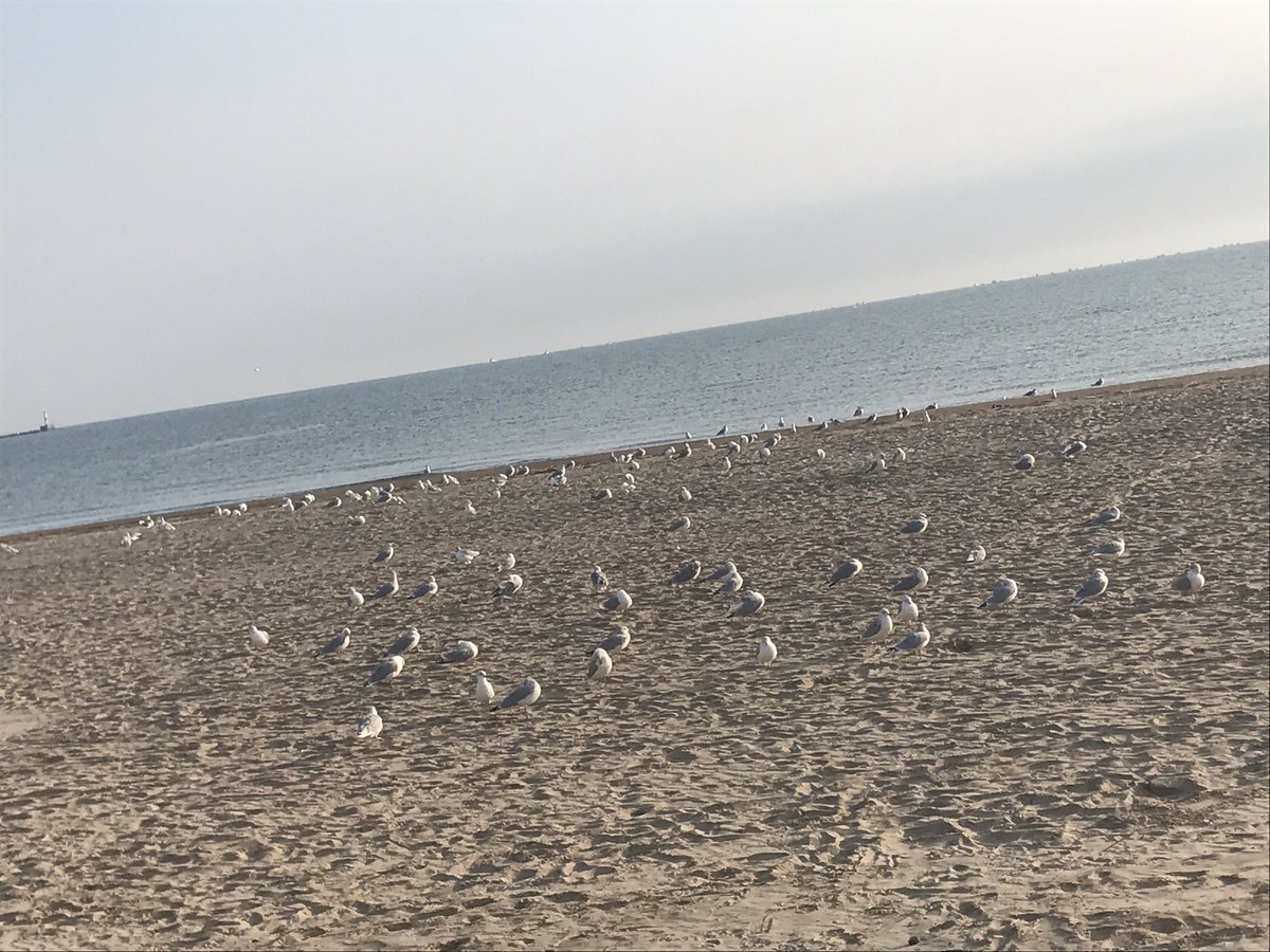 thePositiveMOM's tweet image. Another gorgeous day at  #BloggyCon17 in @cedarpoint