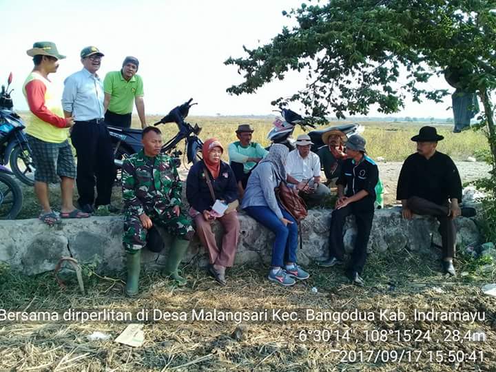 FKTHLPOPT_NUS's tweet photo. Aksi nyata THL POPT Jabar @jokowi @Amran_Sulaiman1 @kementan @Ditjen_TP_News @Edhy_Prabowo @akang_hero @onos_urono @tvOneNews @Metro_TV https://t.co/Umayx7fMH0