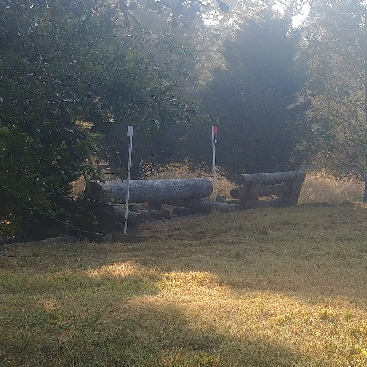KaitlinABell's tweet photo. Jump judging my nemesis
#Trakehner #TrainingLevel #IHateThisFence https://t.co/xn3etkCCc1