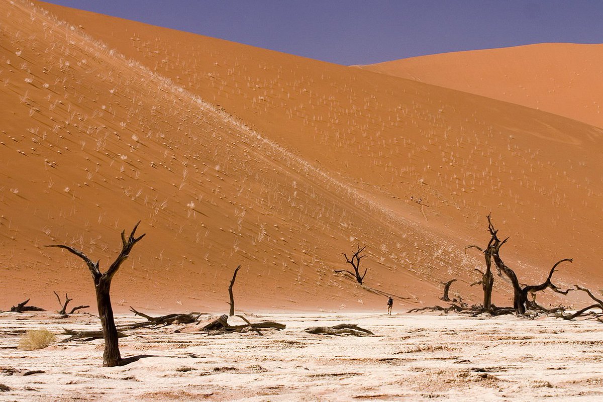 jackiedeburca's tweet image. What an #inspirational landscape ♥ Feel creative at your first glimpse of the desert pan and sand dunes. Sossusvlei #Namibia desert