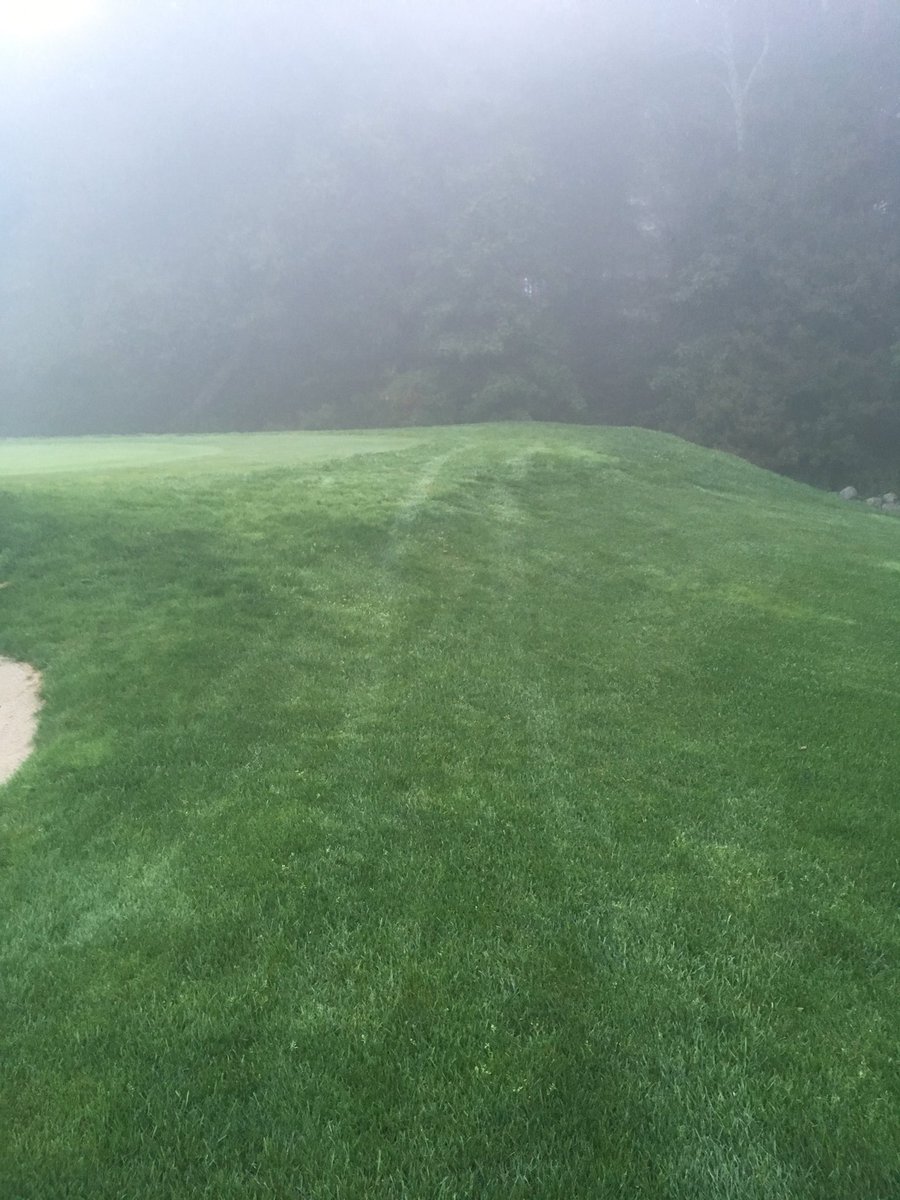 BrianDaigneau's tweet image. #outingfun