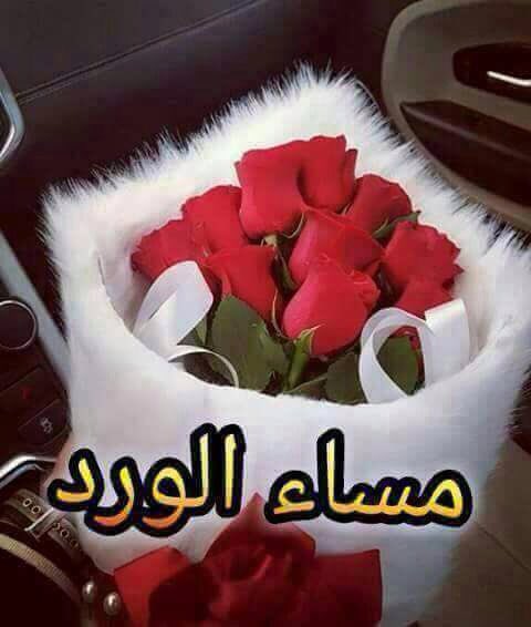 راشد (@yteyia) on Twitter photo 