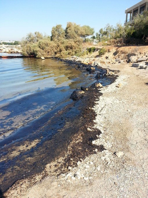 Προβολή εικόνας στο Twitter