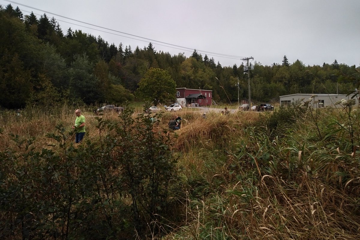Thanks to all the volunteers for an excellent TD Tree Day event at Newman's Brook at Peacock Lane.  #tdtreedays#tdcommonground