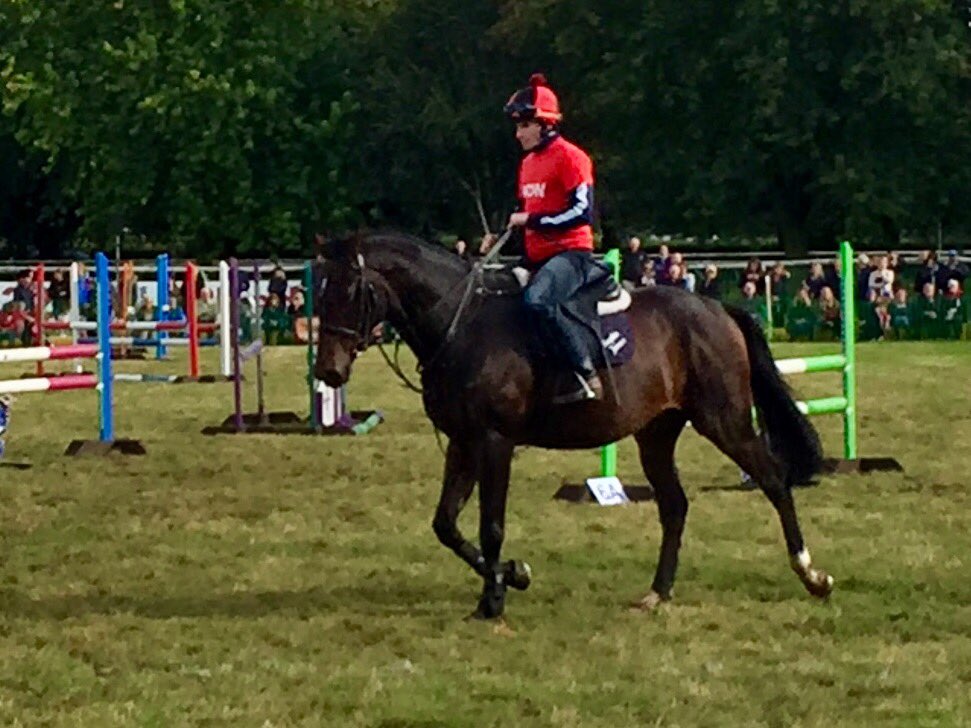 davidmilnesHQ's tweet photo. Ryan Moore #fourfaults @NktOpenWeekend @RacingPost https://t.co/Tgldh5cBe9