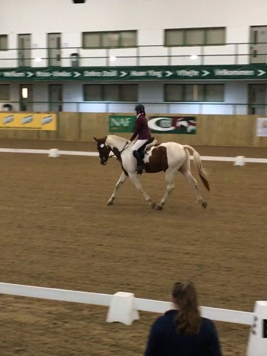 RJDressage's tweet photo. So lots to work on but I'm extremely proud of my fab horse 57.3%yesterday and 58% today!Very pleased for his first ever outings😄#EquineHour https://t.co/LESzzzWIjG
