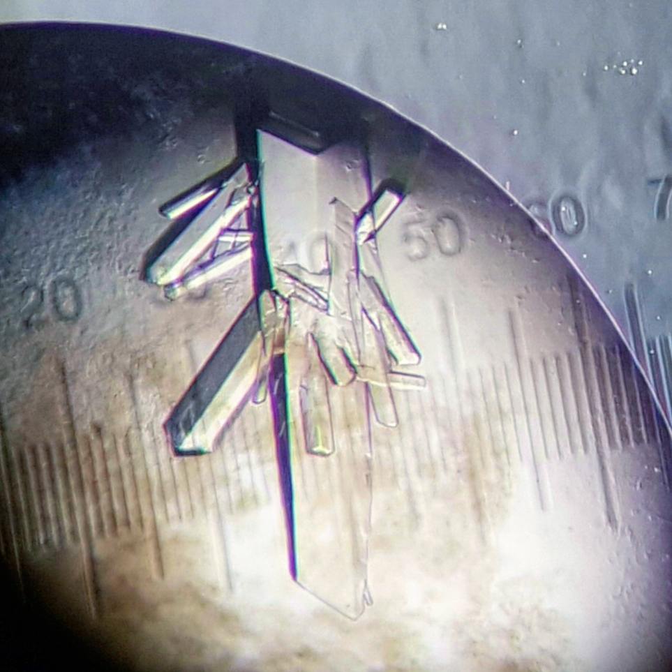 TheZwitterion's tweet photo. My #proteincrystal made baby crystals! #biophd #xraycrystallography #phdchat #phdlife #scienceiscool #sciencebeauty #proteinstructure https://t.co/LuI4lzdXCt