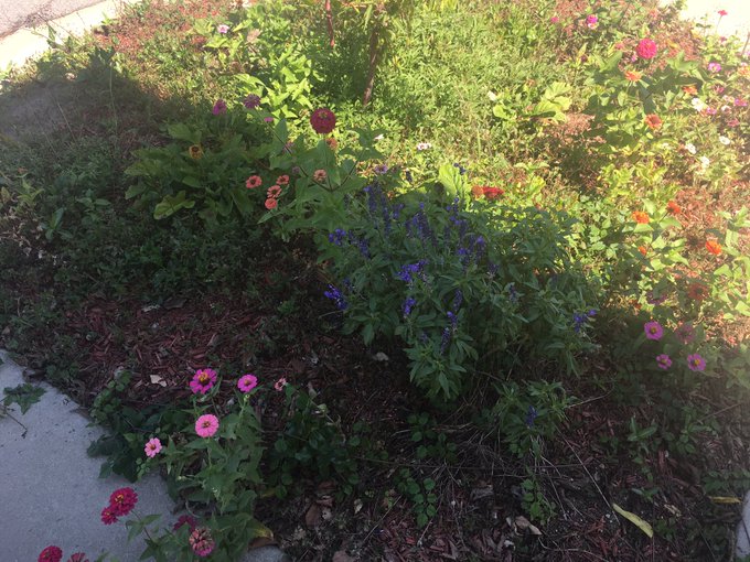 i love the earth https://t.co/1l3h4uqaPg